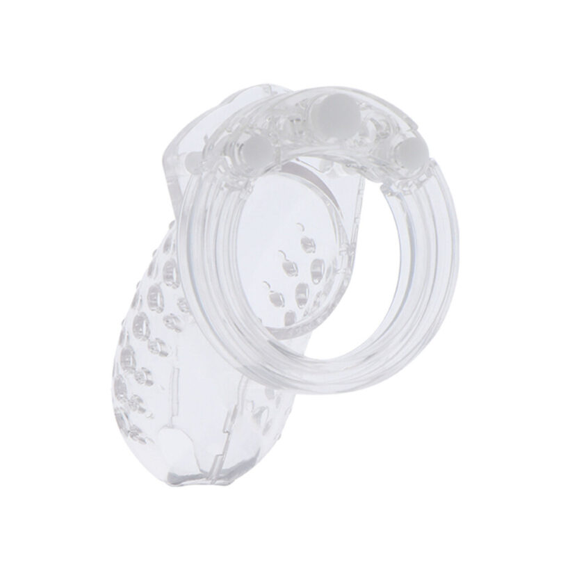 Hidden Desire Extreme Chastity Cock Cage - Image 2
