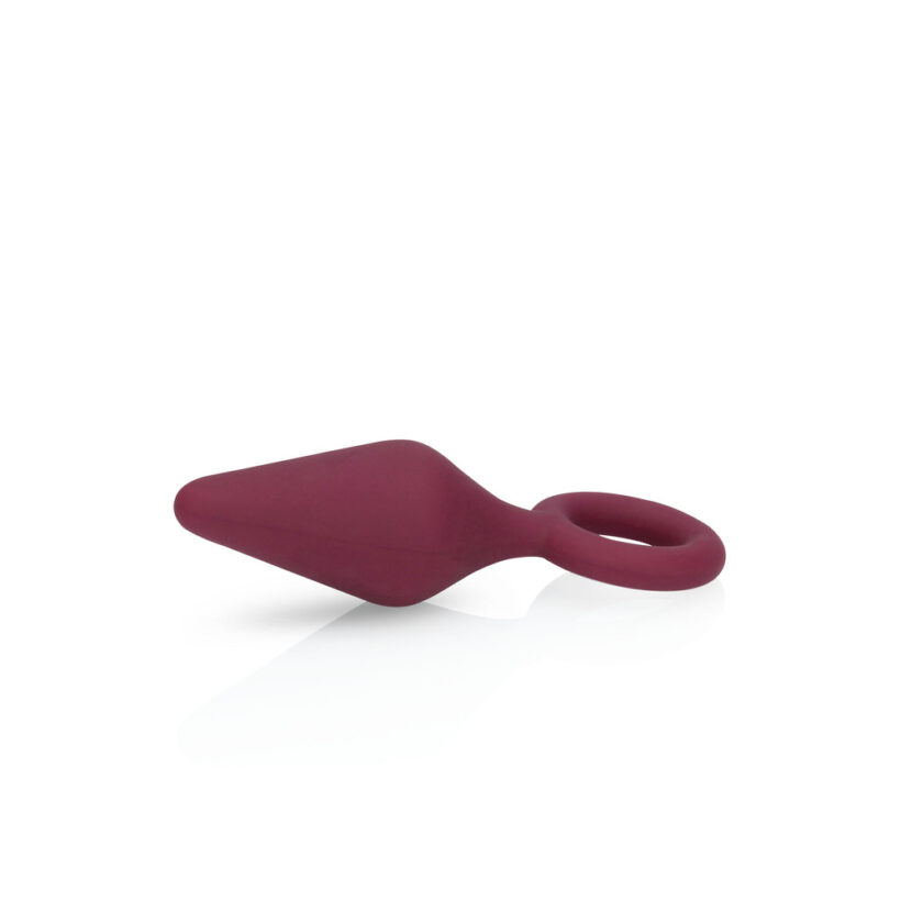Sexplore Toy Kit for Her - Image 3