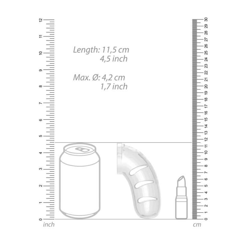 Man Cage 11  Male 4.5 Inch Clear Chastity Cage With Anal Plug - Image 4
