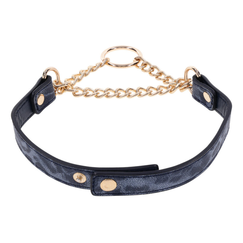 SportSheets Cougar Day Collar - Image 3