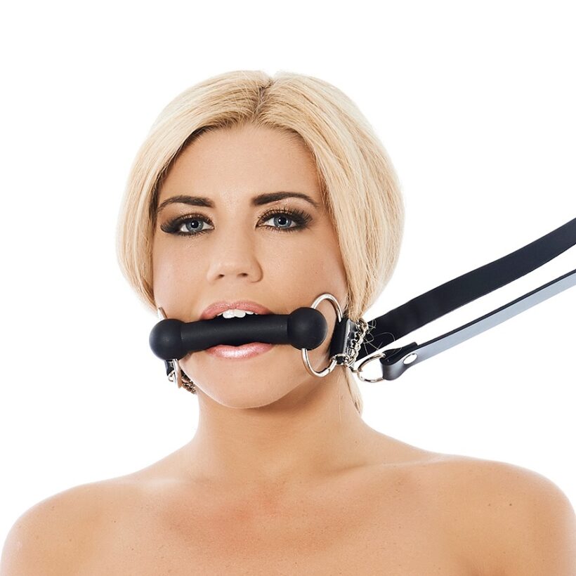 Leather Horse Bit Gag And Reins - Image 3