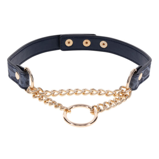 SportSheets Cougar Day Collar